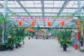 绿康源养老康复中心