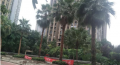 爱心托老所巴国城东海阿特豪斯分所