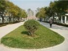 北京市大兴区庞各庄镇敬老院图片