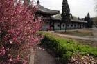 天津市河北区中山颐寿园河北养老院图片