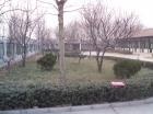 北京市通州区台湖镇敬老院图片