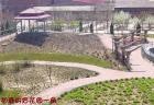 北京市大兴区颐乐养老院图片