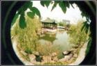 上海市松江区社会福利院图片