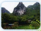 广西柳州市鱼峰区一五八敬老院图片