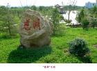 山东省济南市平阴县玫苑老年公寓图片