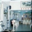 澳门氹仔松柏之家图片