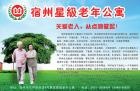 安徽省宿州市埇桥区星级老年