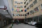 上海闸北郁金香颐养园图片