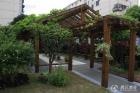 上海市浦东新区洋泾街道金枫敬老院图片