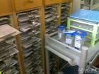 上海市浦东新区南码头社区敬老院图片