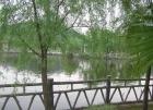 福建省晋江市龙湖镇养老院图片