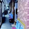 辽宁省大连市甘井子区天成养老院图片
