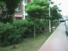 辽宁省大连市甘井子区幸福养老院图片