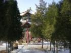 辽宁省鞍山市立山区孟园第二养老院图片