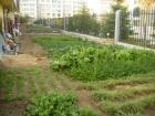 山东省荣成市夕阳乐托老院图片
