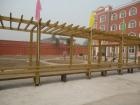 北京市大兴区安泰老年护养院图片