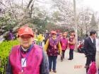 湖北省武汉市武昌区顺宏老年