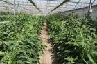 新疆乌鲁木齐南山生态老年公寓图片