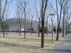 邯郸小树林养老院