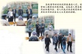 广东省深圳市龙岗区布吉镇敬老院图片