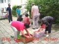 河北省秦皇岛市北戴河区联峰山老年公寓图片