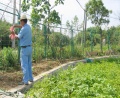 江苏省苏州市虎丘区阳山老年公寓图片