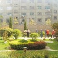 江苏省扬州市仪征市真州镇福