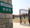 北京市朝阳区圣泽峰老年公寓图片
