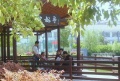 江苏省南京市建邺区社会福利院图片