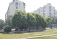 江苏省南京市建邺区兴达老年公寓图片
