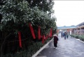 江苏省南京市玄武区鸿福老年公寓图片