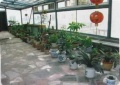 辽宁省沈阳市大东区幸福老年公寓图片