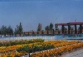 内蒙古包头市九原区兴胜镇老年公寓图片