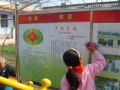 山东省泰安市泰山区省庄镇敬老院图片