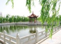 山东省泰安市新泰市老年公寓图片