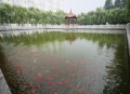 山东省泰安市新泰市老年公寓图片