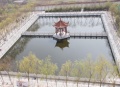 山东省泰安市新泰市老年公寓图片