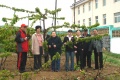 山东省烟台市芝罘区夕阳红老年公寓图片