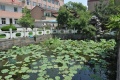 浙江省杭州市余杭区塘栖镇敬