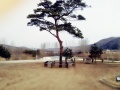 松涛园老年公寓图片