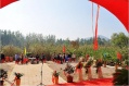 桃园居老年公寓图片