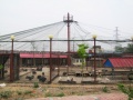 天津市东丽区爱心养老院（杨兆兰养老院）图片