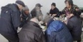 颐和老年公寓图片