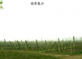 颐和老年公寓图片