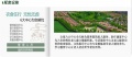 夕阳红千树家园老年公寓图片