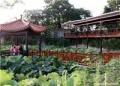 镇山老年公寓图片