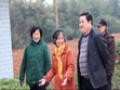 纳诺老年公寓图片