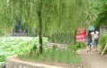 元湖开鑫乐园老年公寓图片