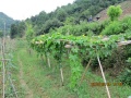 福康山庄老年公寓图片