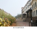 大连中山桂林养护院二院图片